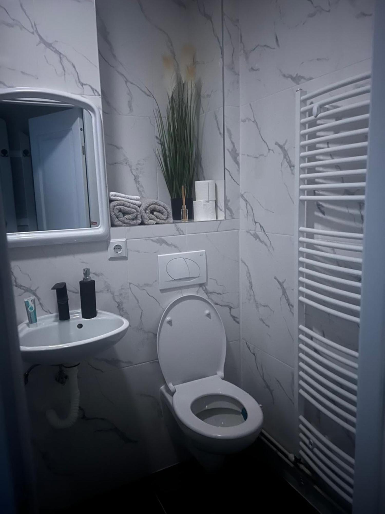 Apartament 2 Camere Baia Mare Buitenkant foto